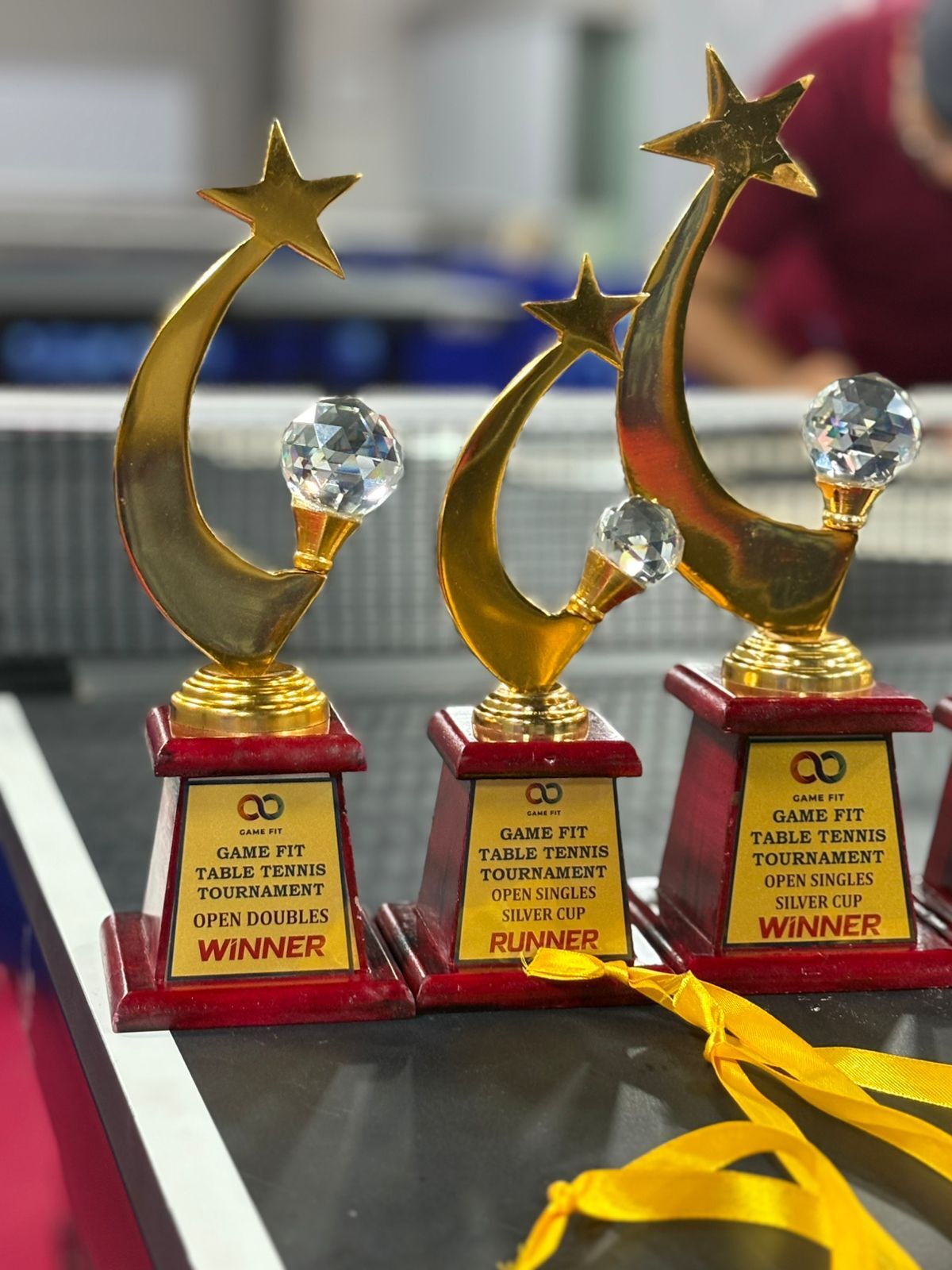 Table Tennis Advanced Training